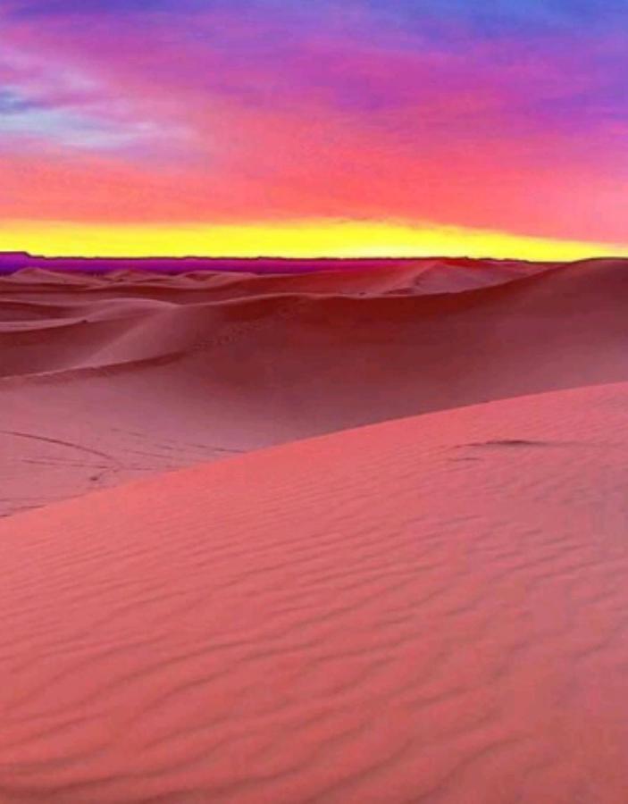 Luxury Desert Camp 메르주가 외부 사진