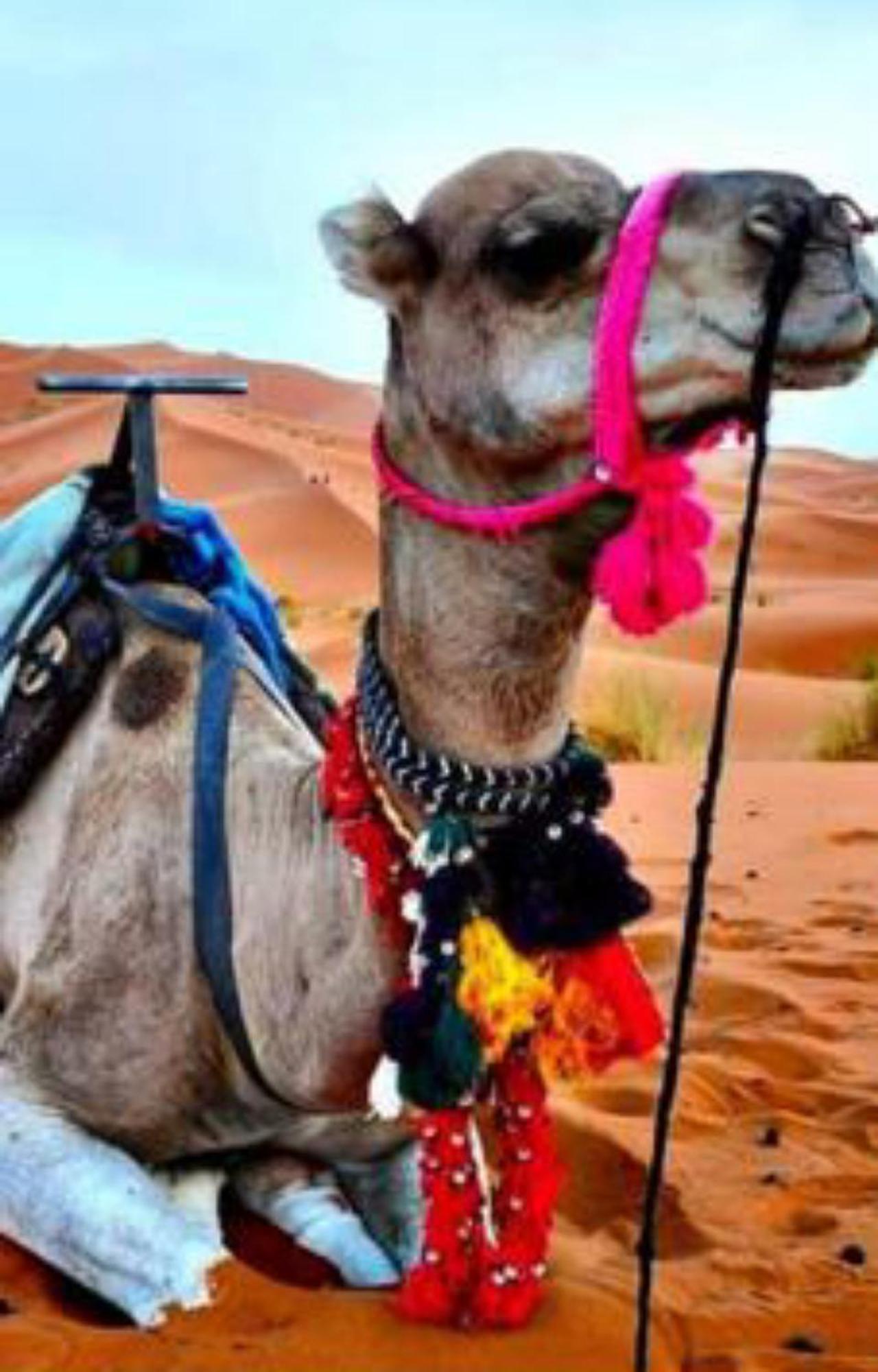 Luxury Desert Camp 메르주가 외부 사진