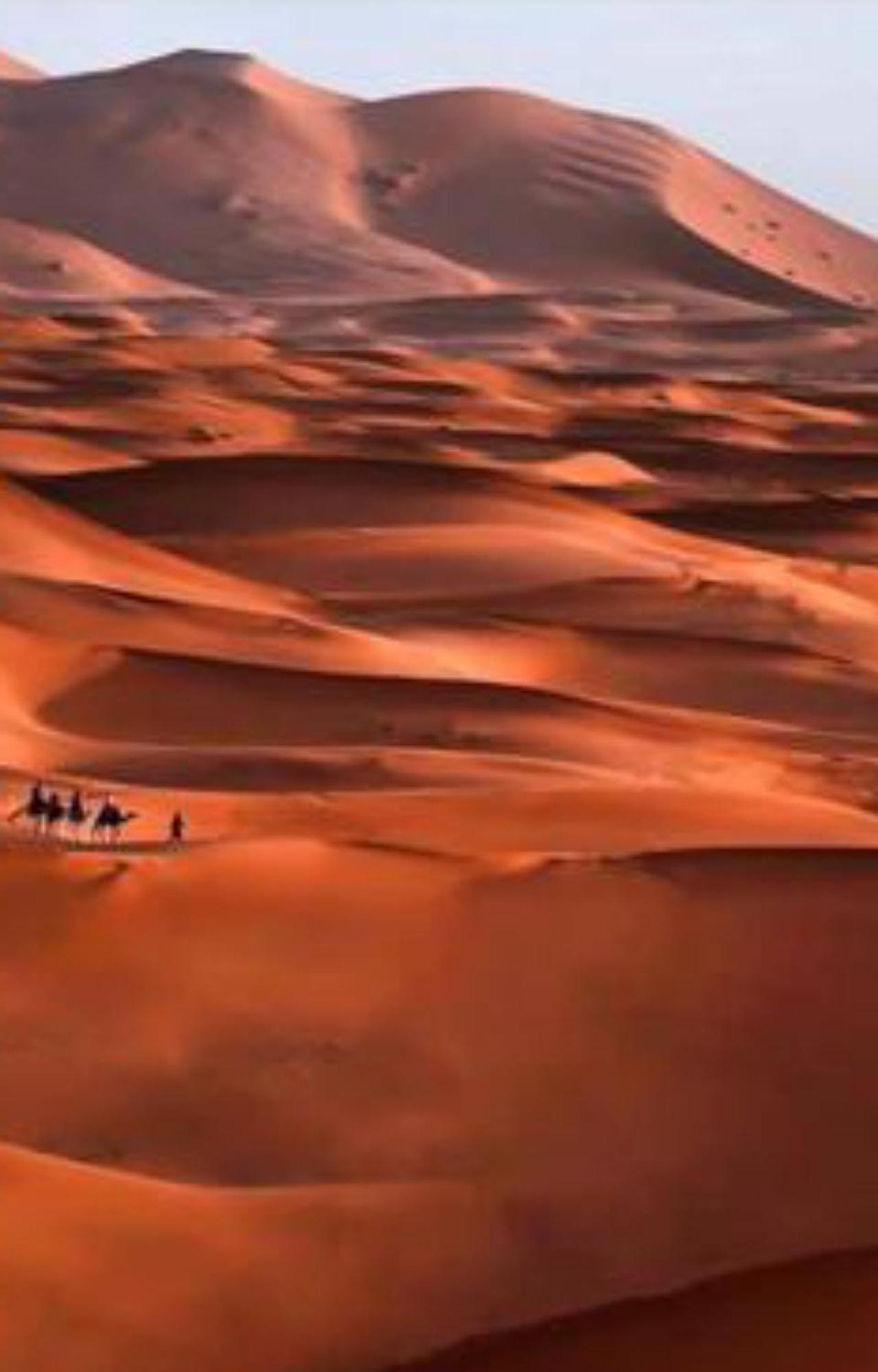 Luxury Desert Camp 메르주가 외부 사진
