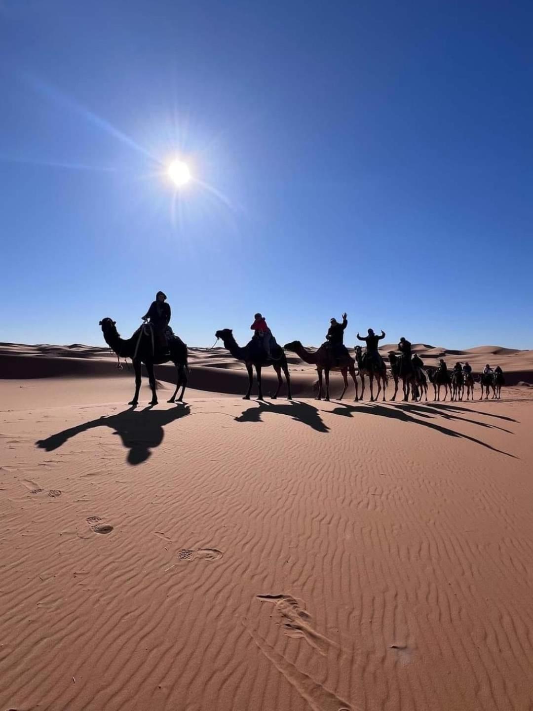 Luxury Desert Camp 메르주가 외부 사진
