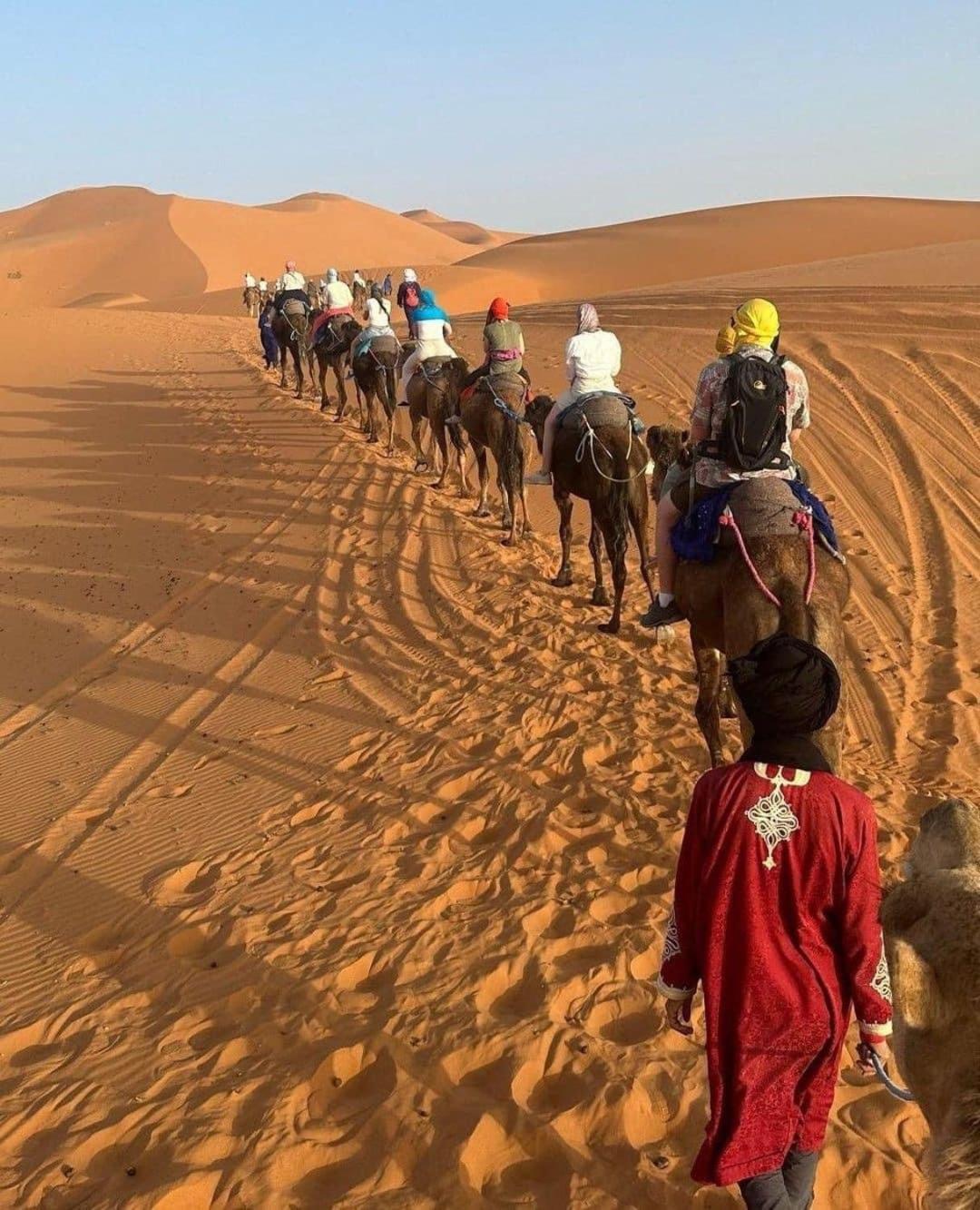 Luxury Desert Camp 메르주가 외부 사진
